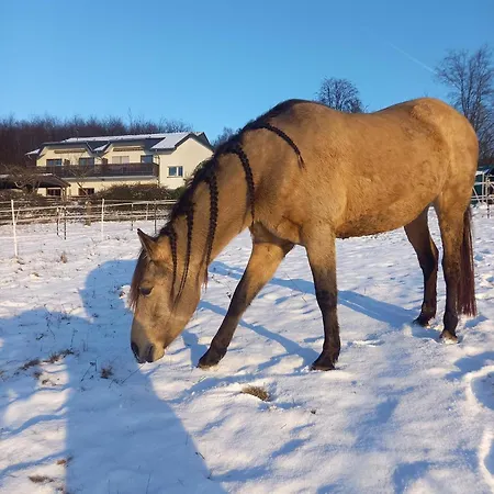 Haus Nirgendwo Lützkampen