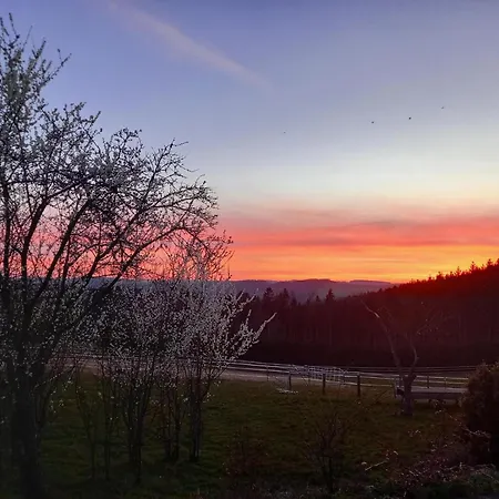 Haus Nirgendwo 3* Lützkampen