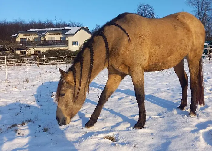 Haus Nirgendwo Lützkampen