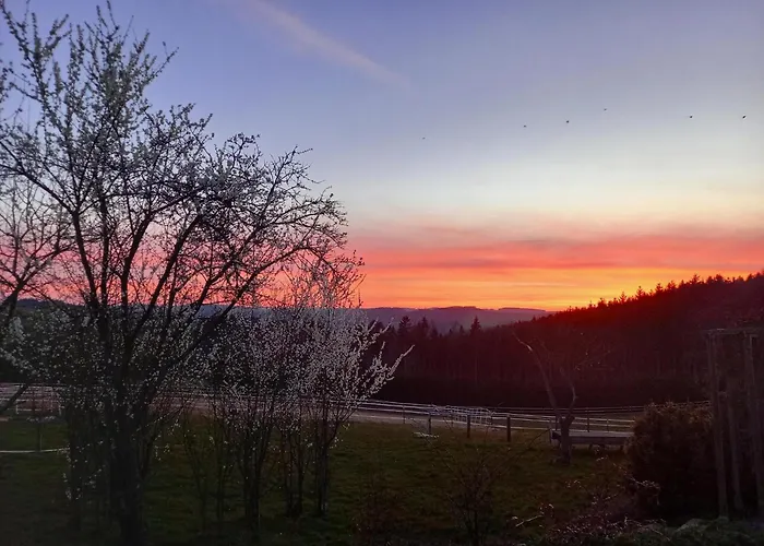 Haus Nirgendwo 3* Lützkampen